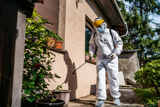 Insect Control in Mauston, WI