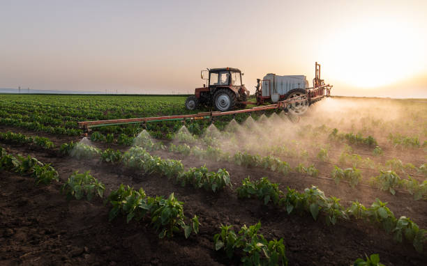 Best Pest Removal Services  in Mauston, WI