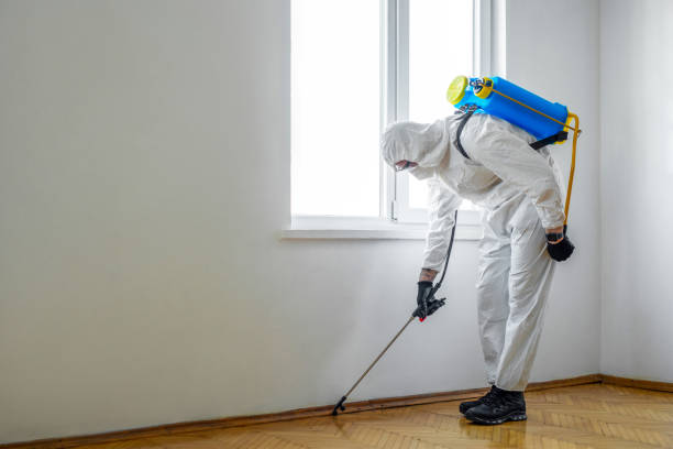 Best Cockroach Control Services  in Mauston, WI