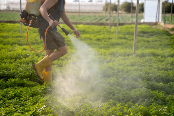 Trusted Mauston, WI Pest Control Experts