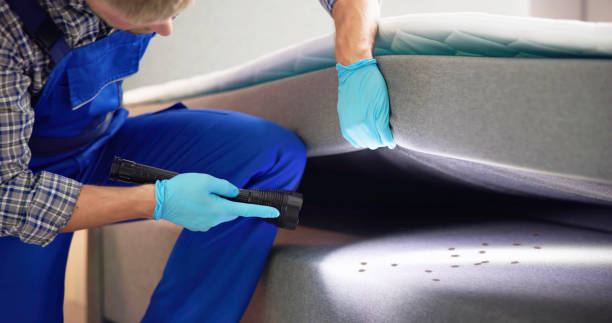 Best Affordable Pest Control Services  in Mauston, WI