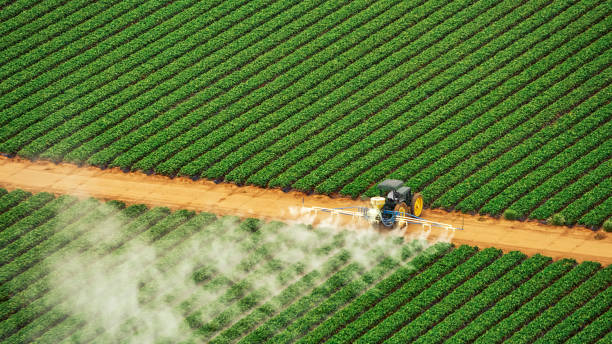 Best Commercial Pest Control Services  in Mauston, WI