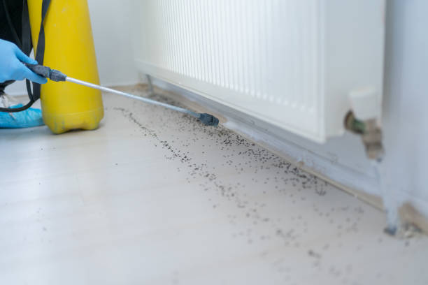 Best Flea Control Services  in Mauston, WI