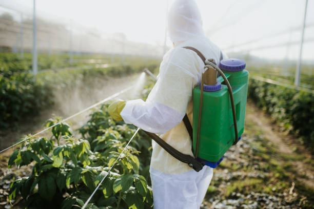 Best Exterminator Services  in Mauston, WI